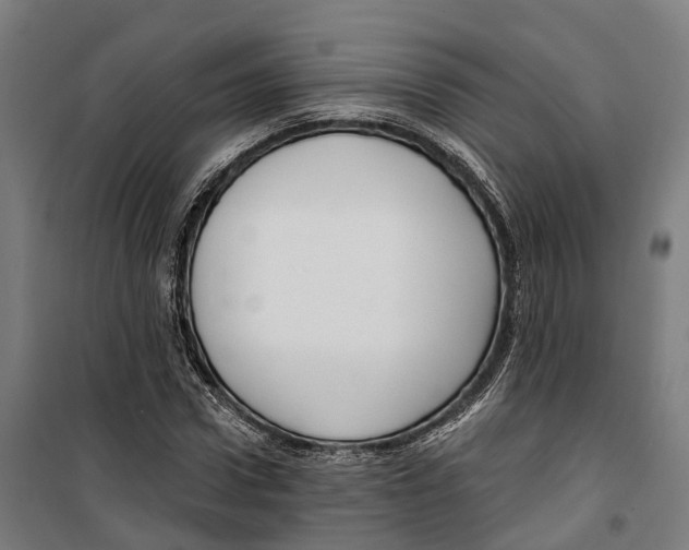 X0000099520922200806121459