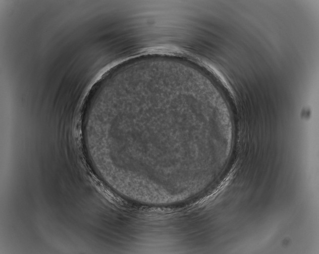 X0000099520923200806121459