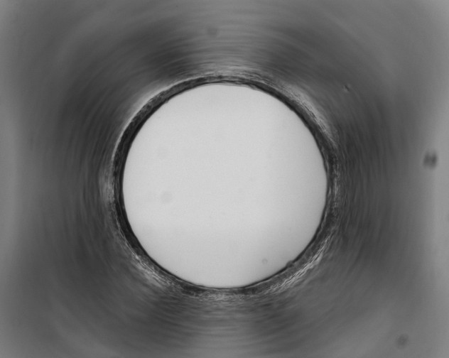 X0000099520924200806121459