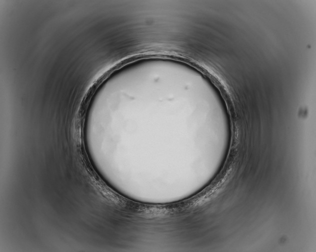 X0000099520925200806121459