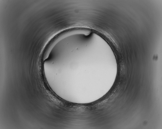 X0000099520926200806121459