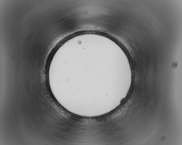 X0000099520927200806121459