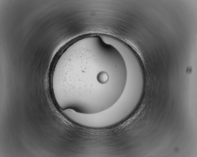 X0000099520928200806121459