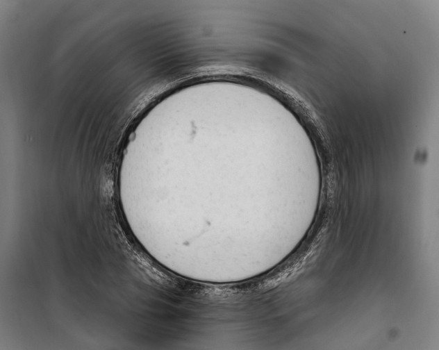 X0000099520929200806121459