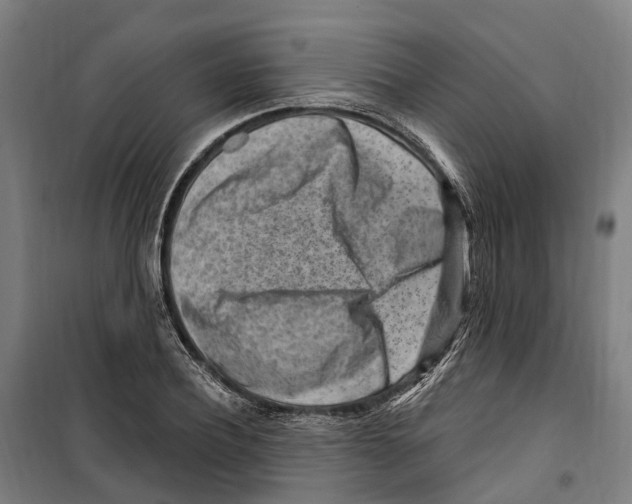 X0000099520932200806121459