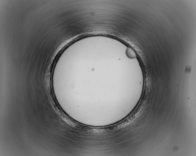 X0000099520933200806121459