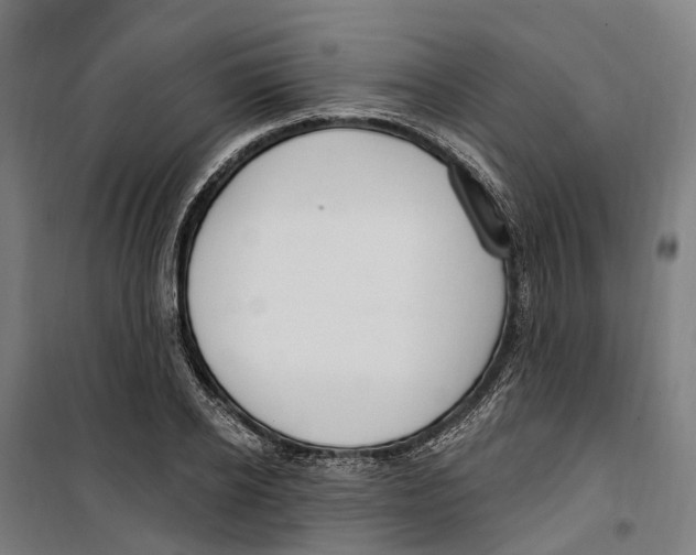 X0000099520934200806121459