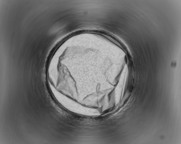 X0000099520935200806121459