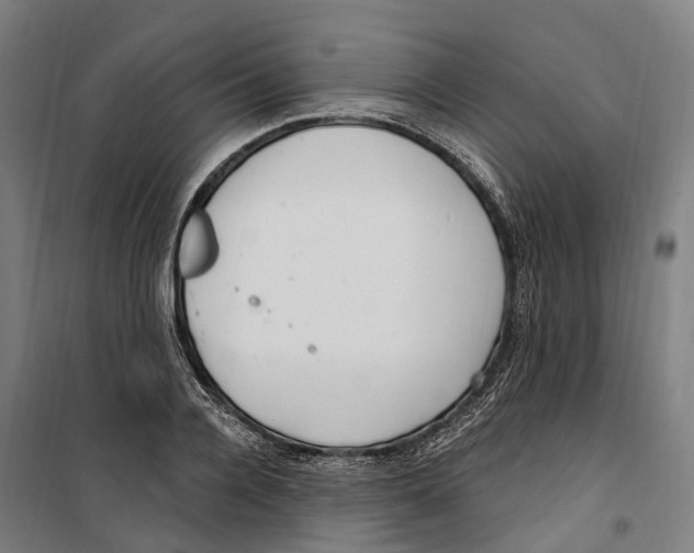 X0000099520936200806121459