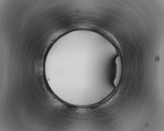 X0000099520938200806121459