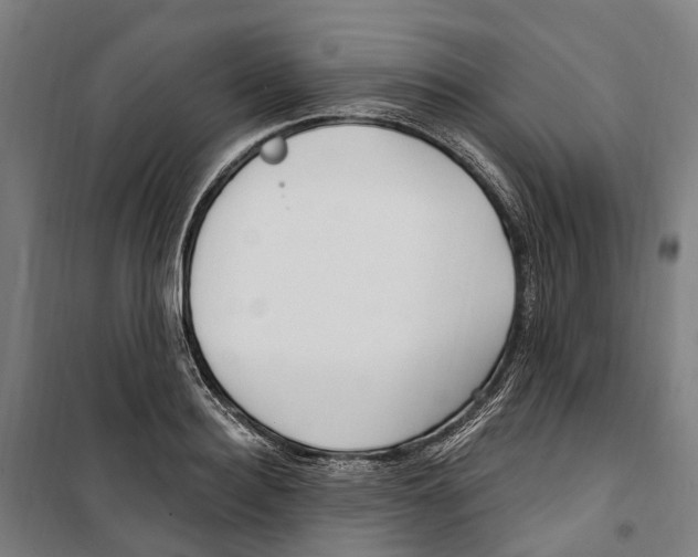 X0000099520940200806121459