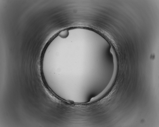 X0000099520942200806121459