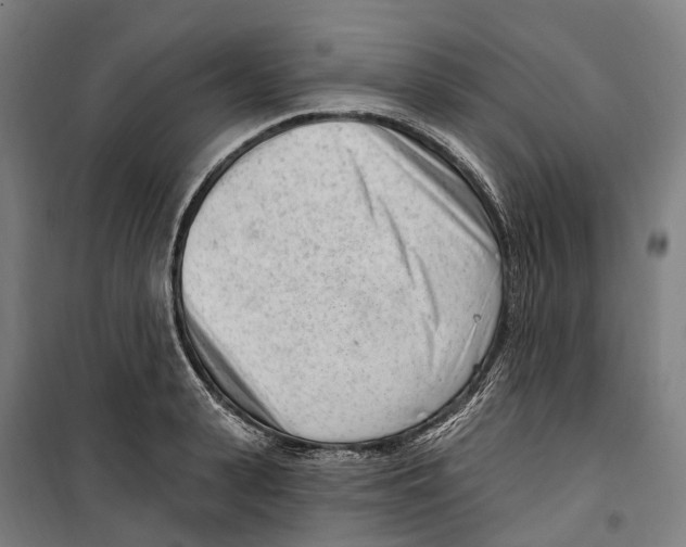 X0000099520943200806121459