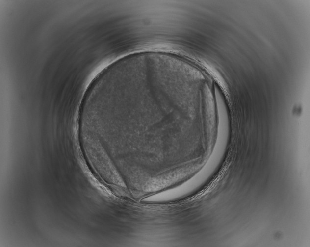 X0000099520944200806121459