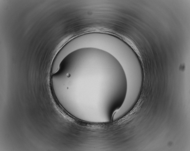 X0000099520946200806121459