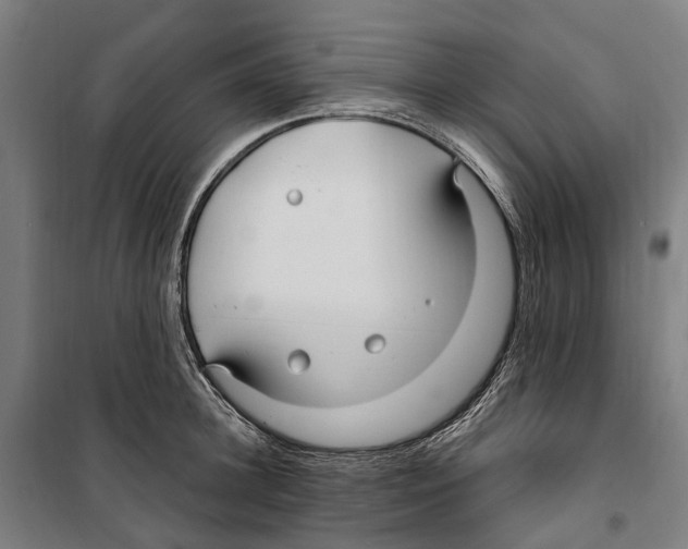 X0000099520948200806121459