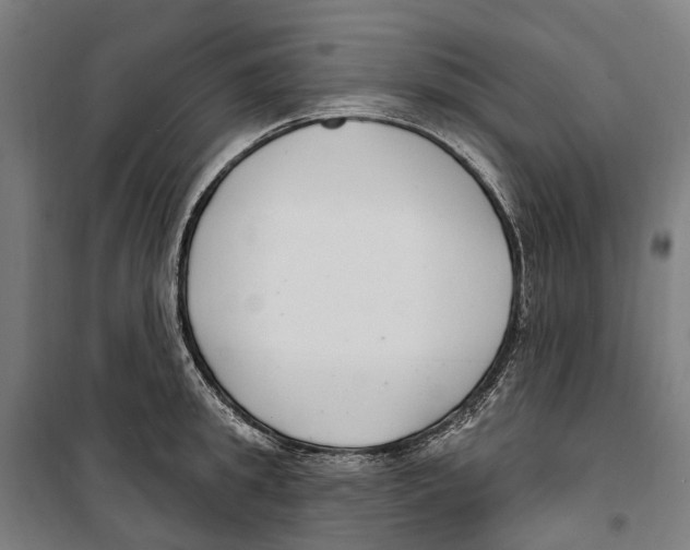 X0000099520949200806121459