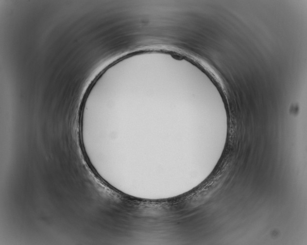 X0000099520951200806121459