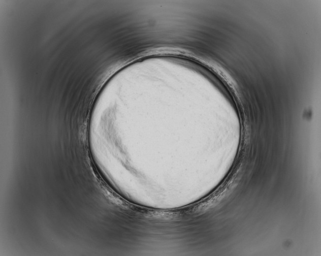 X0000099520953200806121459