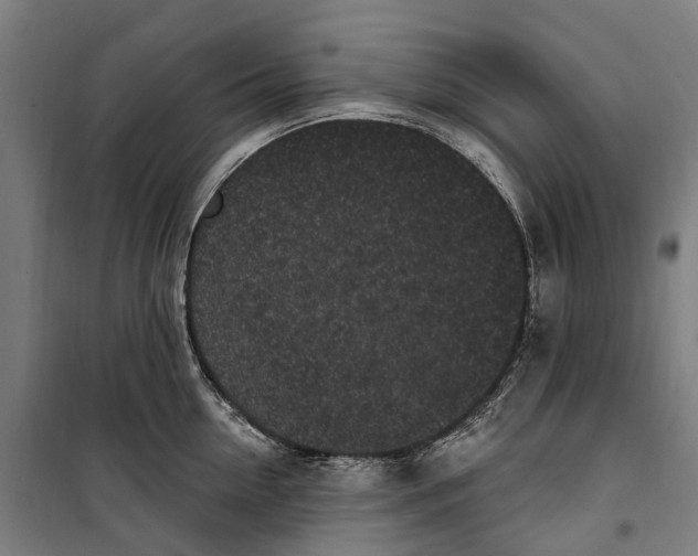 X0000099520954200806121459