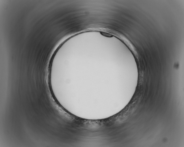 X0000099520955200806121459