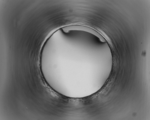 X0000099520956200806121459