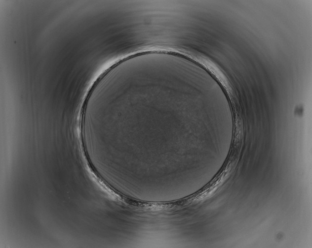 X0000099520958200806121459