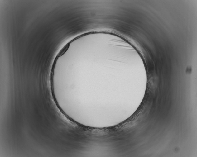 X0000099520959200806121459