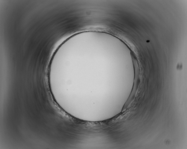 X0000099520960200806121459