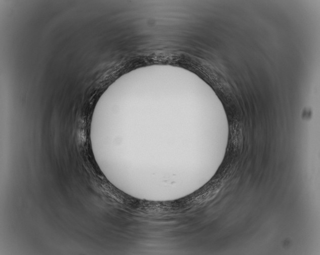 X0000099520962200806121458