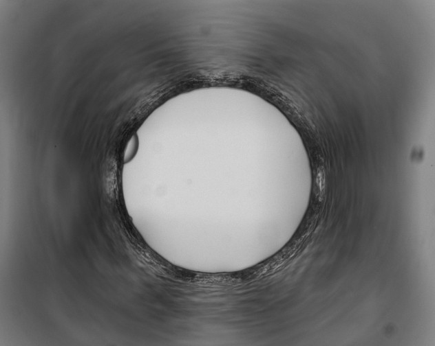 X0000099520963200806121458