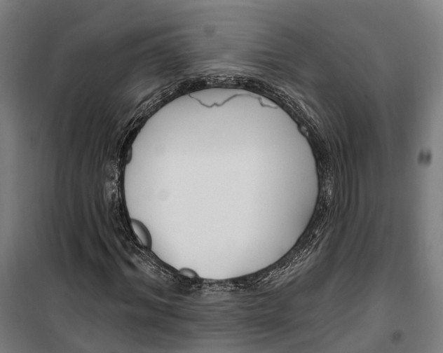 X0000099520964200806121458