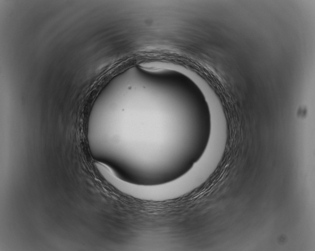 X0000099520965200806121458