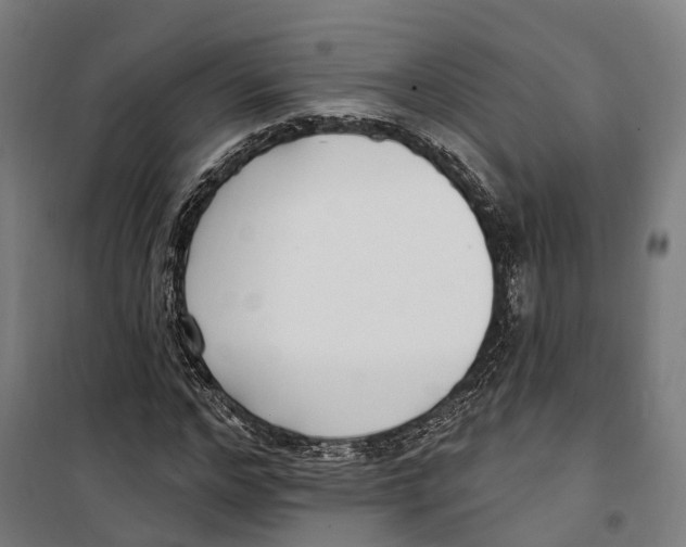 X0000099520968200806121458