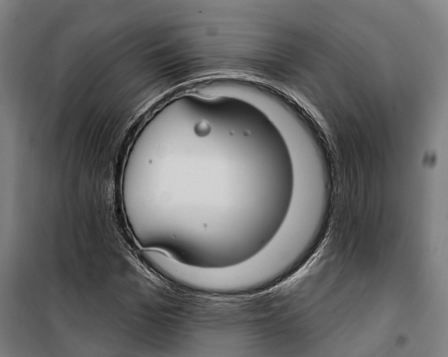 X0000099520969200806121458