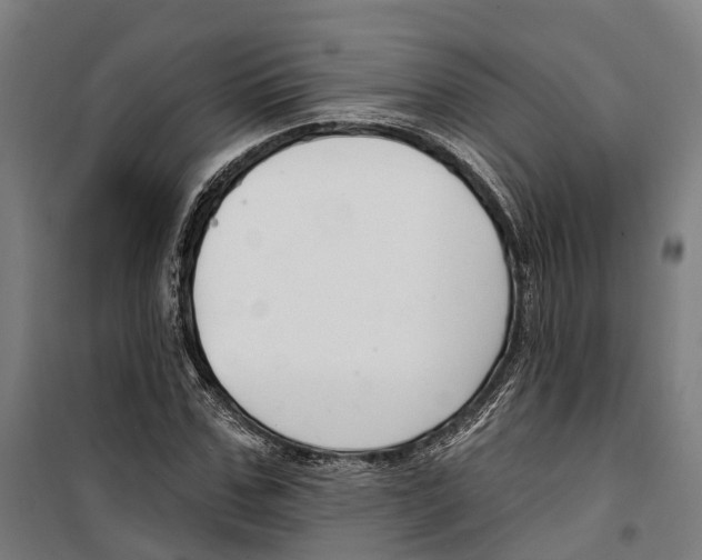 X0000099520971200806121458