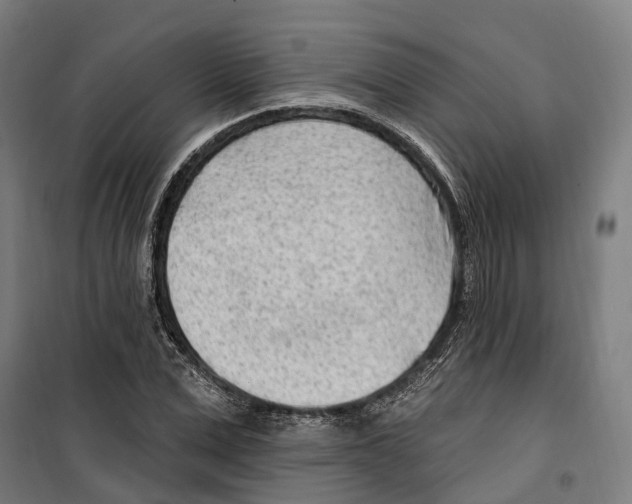 X0000099520975200806121458