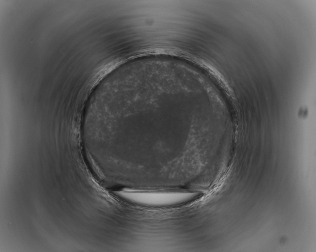 X0000099520977200806121458