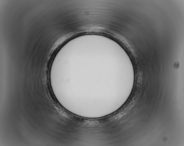 X0000099520978200806121458