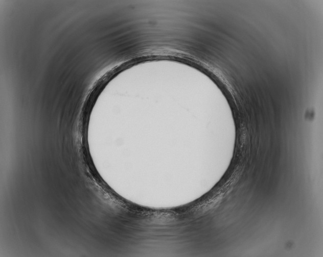 X0000099520979200806121458