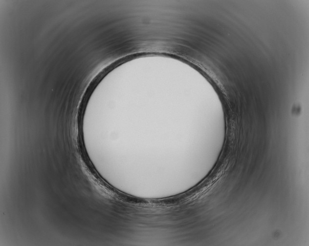 X0000099520980200806121458