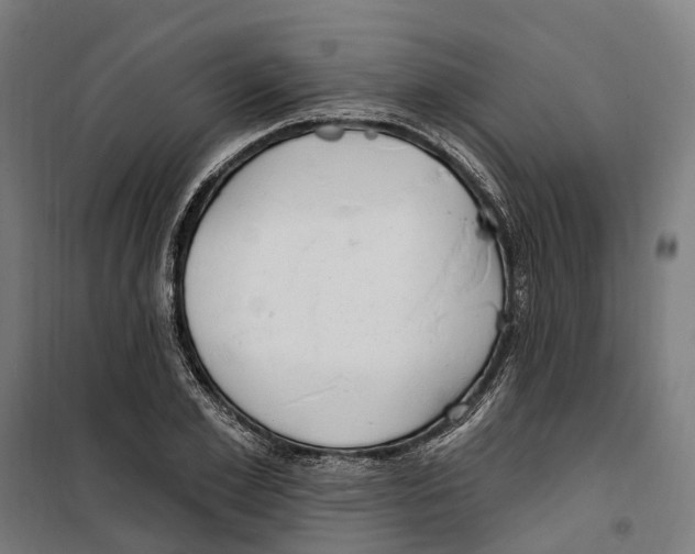 X0000099520981200806121458