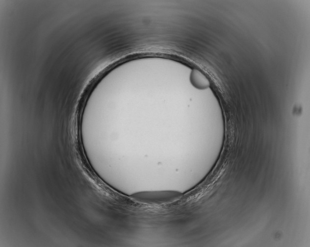 X0000099520982200806121458