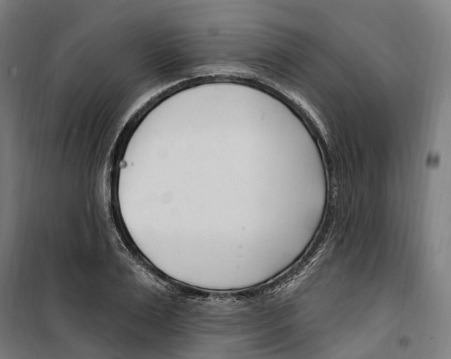 X0000099520983200806121458