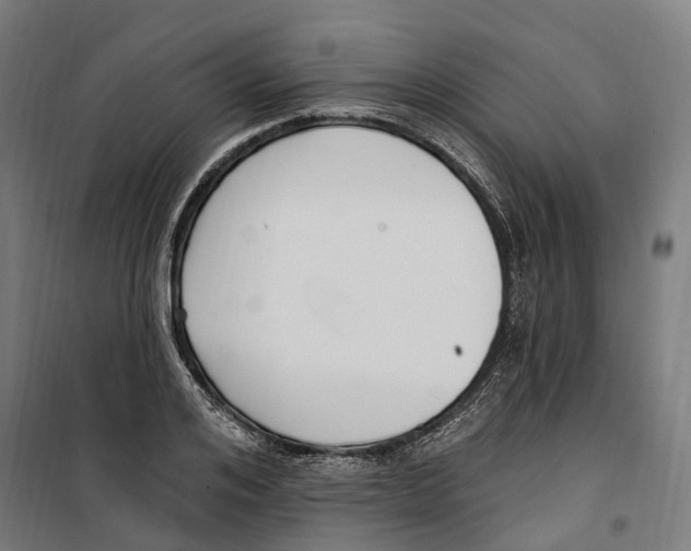 X0000099520984200806121458