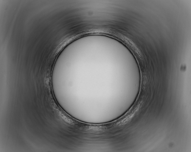 X0000099520985200806121458