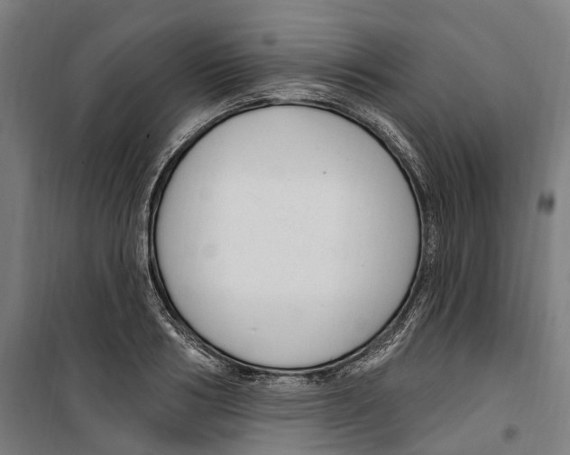 X0000099520986200806121458