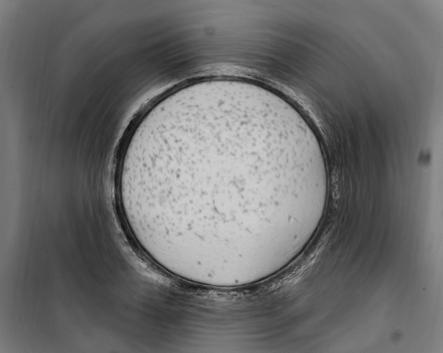 X0000099520987200806121458