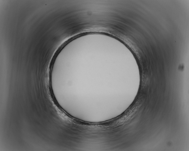 X0000099520988200806121458