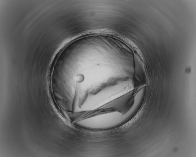 X0000099520989200806121458